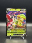 Breloom V