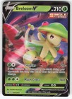 Breloom V