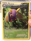 Dustox