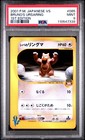 Bruno's Ursaring