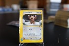 Bruno's Ursaring