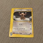 Bruno's Ursaring