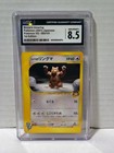 Bruno's Ursaring