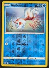 Goldeen