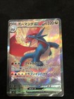 Salamence ex
