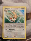 Pidgeot