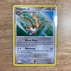 Pidgeot