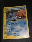 Piloswine