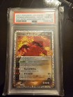 Team Magma's Groudon