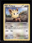 Lillipup