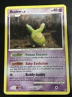 Budew