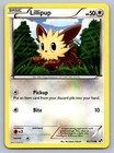 Lillipup