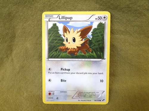 Lillipup
