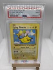 Flying Pikachu