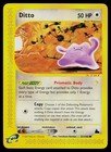 Ditto