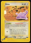 Ditto