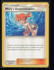 Misty's Determination