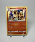 Arcanine