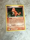 Ditto Charmander