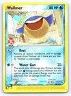 Wailmer