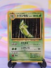 Metapod