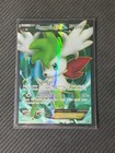 Shaymin EX