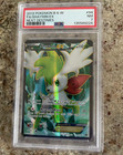 Shaymin EX