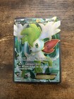 Shaymin EX