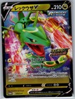 Rayquaza 