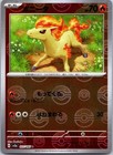 Ponyta
