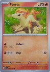 Ponyta