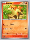 Ponyta