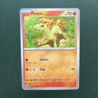 Ponyta