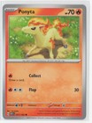 Ponyta