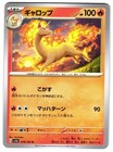 Rapidash