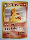 Rapidash