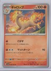 Rapidash
