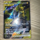 Pikachu & Zekrom GX