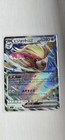 Pidgeot ex