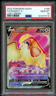 Pidgeot V