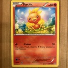 Torchic