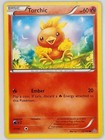 Torchic