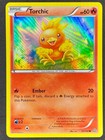 Torchic