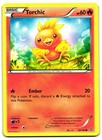 Torchic