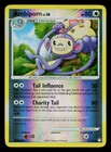 Ambipom