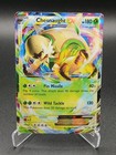 Chesnaught EX