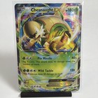 Chesnaught EX