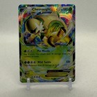 Chesnaught EX