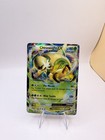 Chesnaught EX
