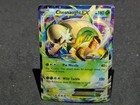 Chesnaught EX
